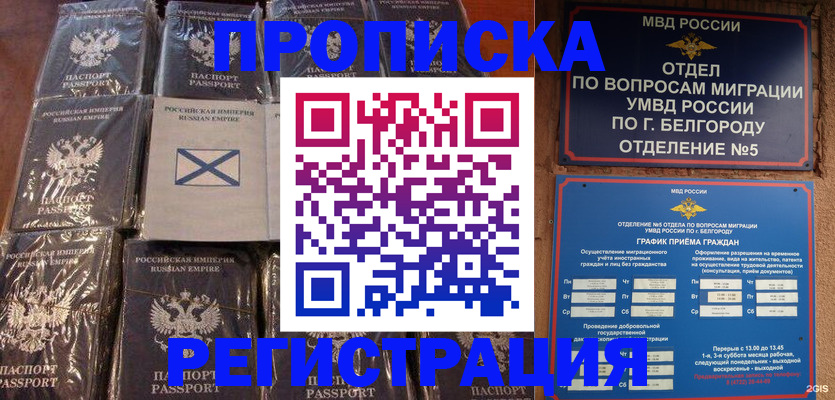 прописка гарантия в Мамадыше
